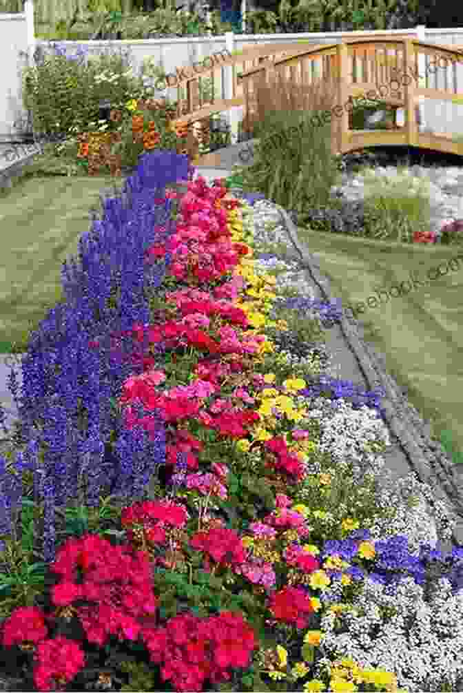 A Colorful Flower Garden In A Backyard My Deck Porch And Flowers During The Pandemic: #33 (Digitally Enhanced Art Made During The 2024 Covid Pandemic)