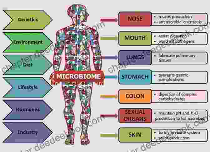 A Complex Network Of Bacteria, Viruses, And Other Microorganisms Known As The Microbiome Resides Within The Human Body, Playing A Vital Role In Health And Disease. Made For Me Zack Bush