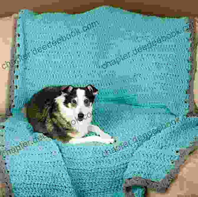 A Crocheted Dog Blanket With A Cuddle Worthy Design, Providing Warmth And Comfort For Your Furry Friend. Knitted Cats Dogs: Over 30 Patterns For Cute Kitties And Perfect Pooches