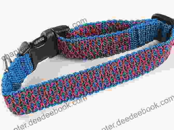 A Crocheted Dog Collar With A Paw Some Design, Ensuring Both Style And Practicality For Your Furry Companion. Knitted Cats Dogs: Over 30 Patterns For Cute Kitties And Perfect Pooches