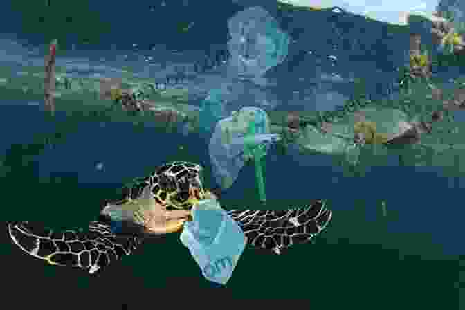 A Sea Turtle Swims Through A Polluted Ocean. There S A Huge Problem Floating In The Water Aquatic Wildlife And Pollution Grade 3 Children S Environment Ecology