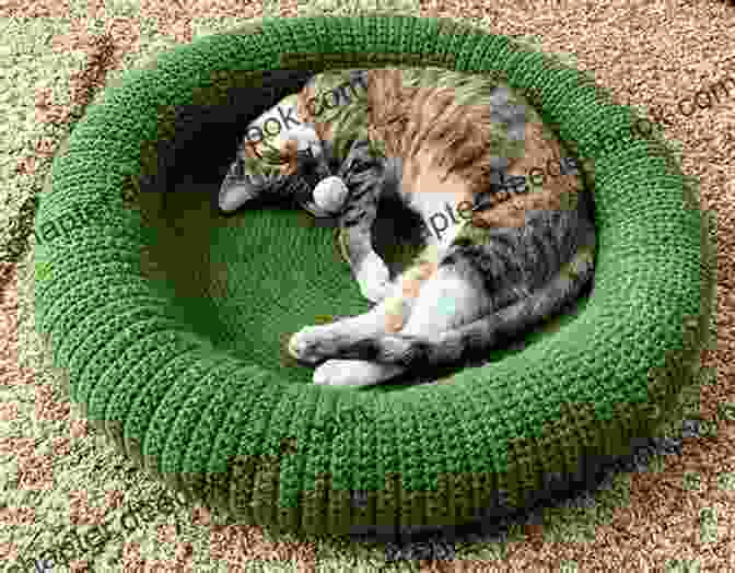 A Stylish And Cozy Crocheted Cat Bed, Providing A Comfortable Place For Your Feline Friend To Rest. Knitted Cats Dogs: Over 30 Patterns For Cute Kitties And Perfect Pooches