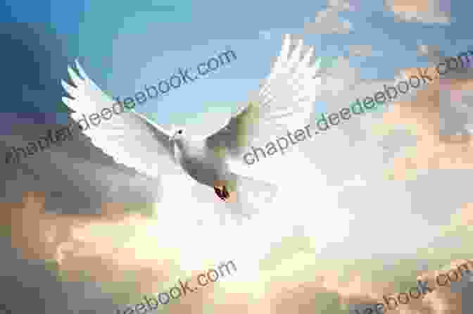 A White Dove Soars Through The Sky, Symbolizing Peace And Hope. Just A Lioness Fact White Dove