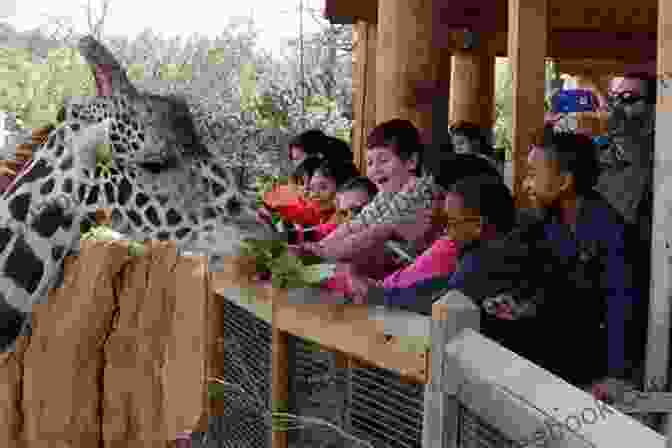 Dallas Zoo Dallas Dozen: Free Family Fun