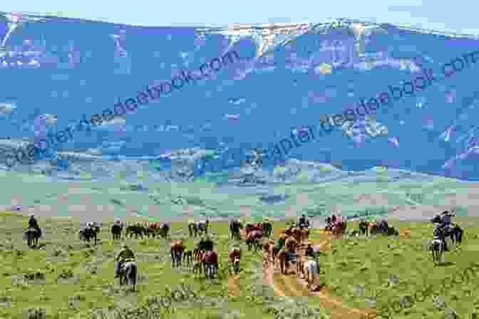 Harry Riding A Horse Through A Herd Of Cattle Harry Goes On A Cattle Drive (Harry S Adventures 5)