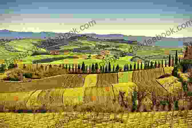 Rolling Hills Of Tuscany, Dotted With Vineyards And Cypress Trees, Bathed In The Warm Glow Of Sunset. Our Italian Summer Jennifer Probst