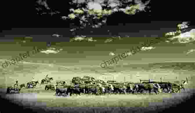 The Cattle Drive Arriving At Its Destination Harry Goes On A Cattle Drive (Harry S Adventures 5)