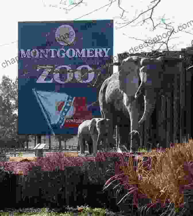 The Montgomery Zoo In Alabama Greater Than A Tourist Birmingham Alabama USA : 50 Travel Tips From A Local (Greater Than A Tourist Alabama)