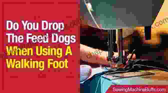 Walking Foot With Multiple Feed Dogs For Even Fabric Feeding Machine Quilting With Style: From Walking Foot Wonders To Free Motion Favorites