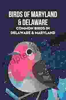 Birds Of Maryland Delaware: Common Birds In Delaware Maryland: Common Birds In Delaware Maryland