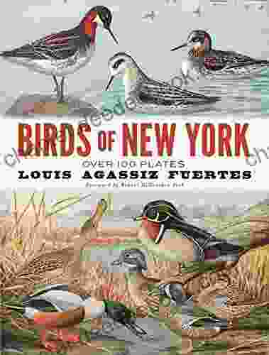 Birds Of New York: Over 100 Plates