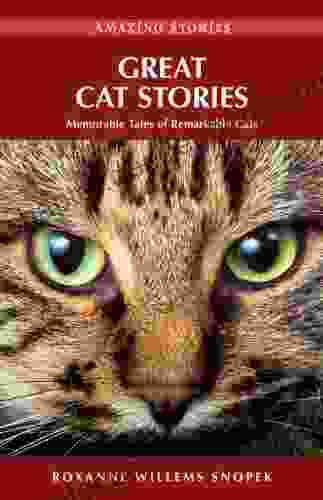 Great Cat Stories: Memorable Tales Of Remarkable Cats (Amazing Stories)