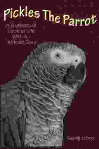 Pickles The Parrot A Humorous Look At Life With An African Grey