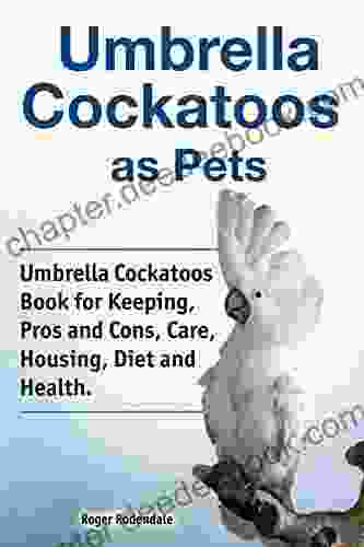 Umbrella Cockatoos As Pets Umbrella Cockatoos For Keeping Pros And Cons Care Housing Diet And Health