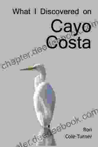 What I Discovered On Cayo Costa